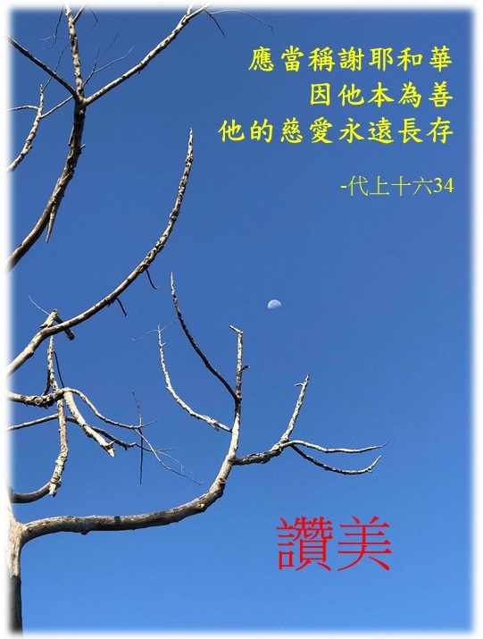 Read more about the article 讚美